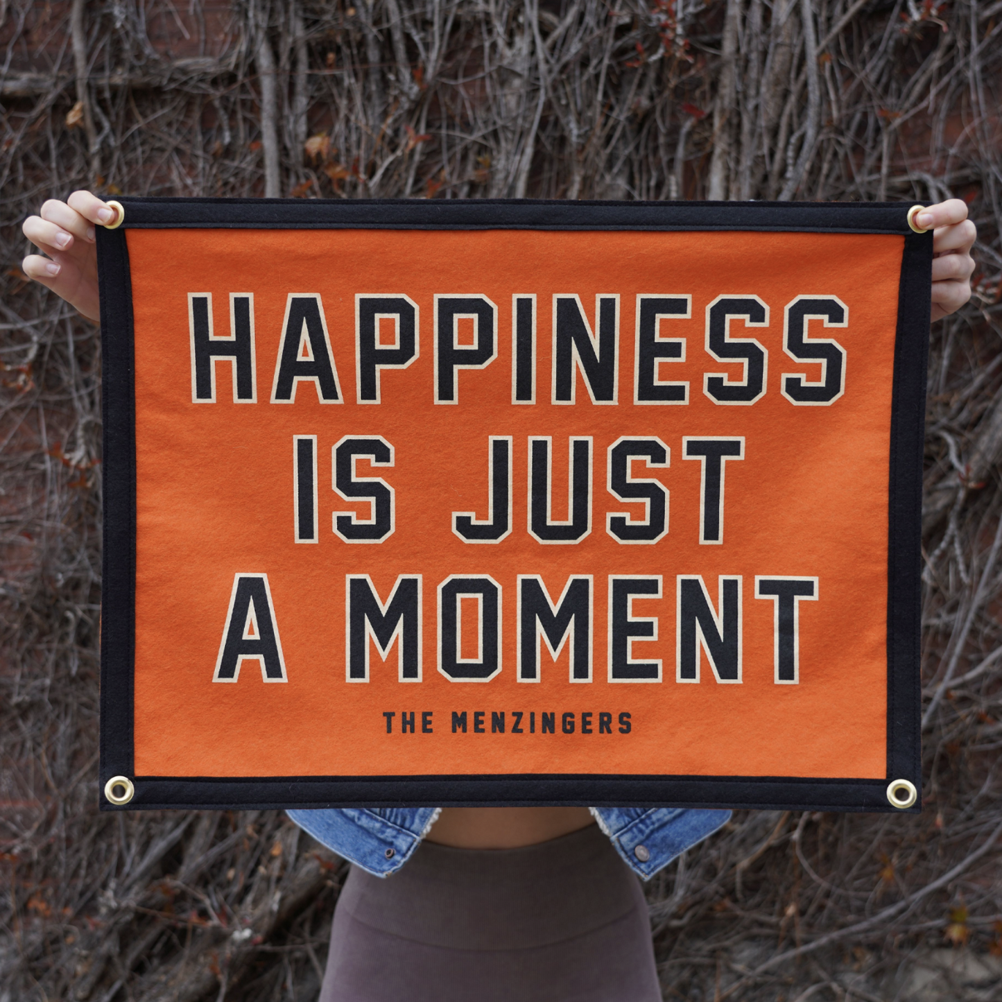 8cfcd1d8e06d56ad5cb7996be830113e